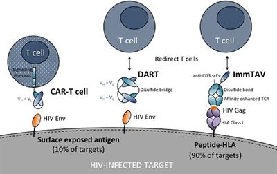 Therapeutic Targeting of HIV Reservoirs: How to Give T Cells a New Direction